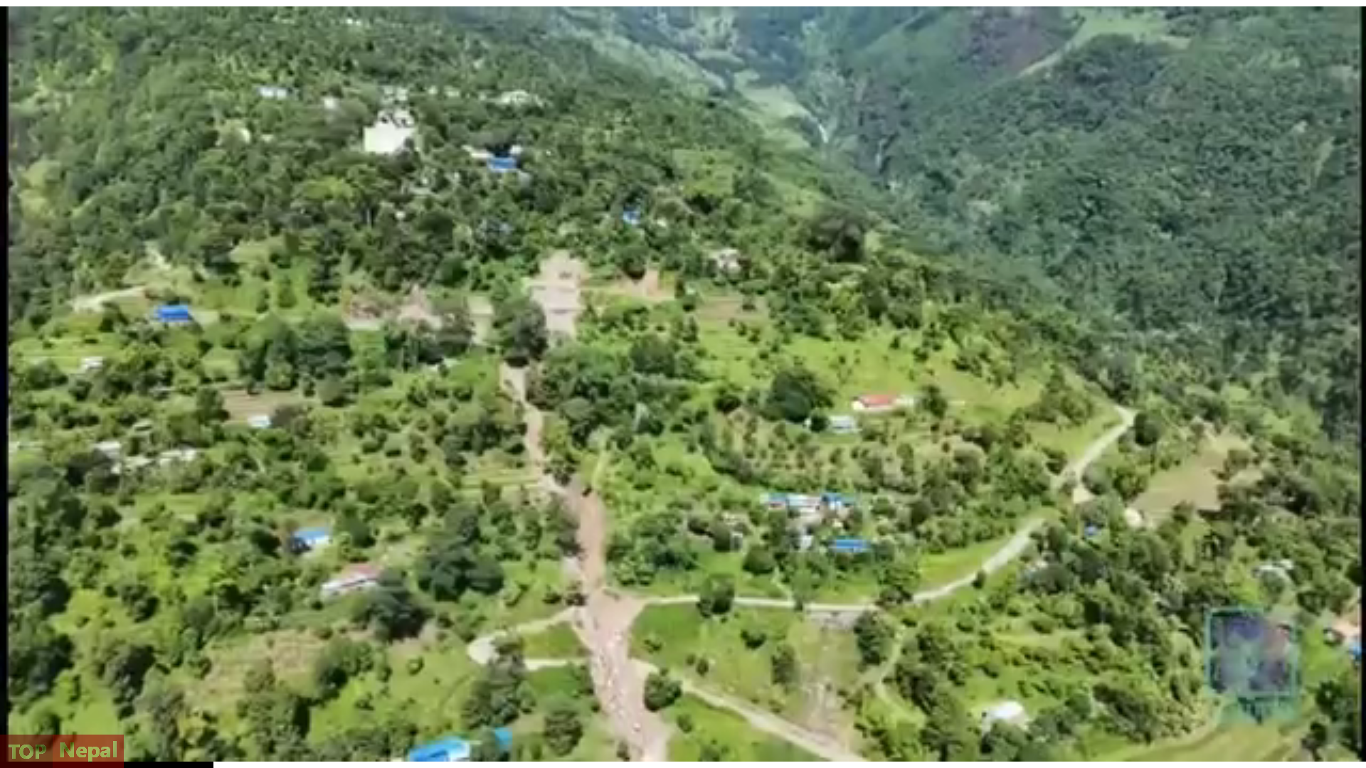 ६४ वर्ष पछि फेला पर्यो अनौठो चरा, आधा मानिस, आधा पंक्षी !