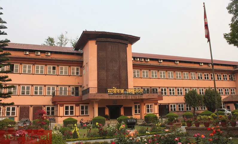 ६४ वर्ष पछि फेला पर्यो अनौठो चरा, आधा मानिस, आधा पंक्षी !