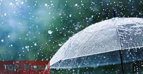 ६४ वर्ष पछि फेला पर्यो अनौठो चरा, आधा मानिस, आधा पंक्षी !