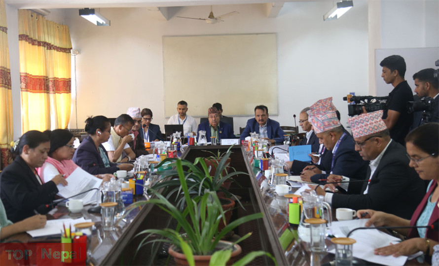 ६४ वर्ष पछि फेला पर्यो अनौठो चरा, आधा मानिस, आधा पंक्षी !