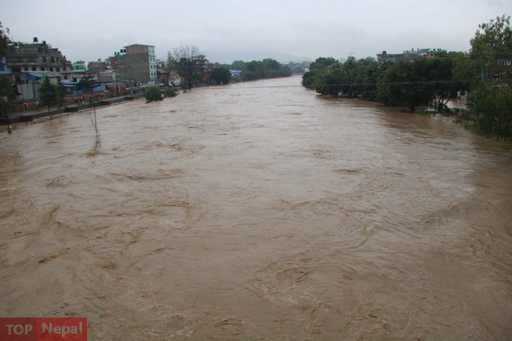 ६४ वर्ष पछि फेला पर्यो अनौठो चरा, आधा मानिस, आधा पंक्षी !