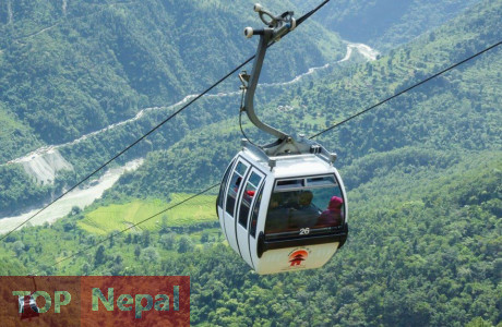 ६४ वर्ष पछि फेला पर्यो अनौठो चरा, आधा मानिस, आधा पंक्षी !
