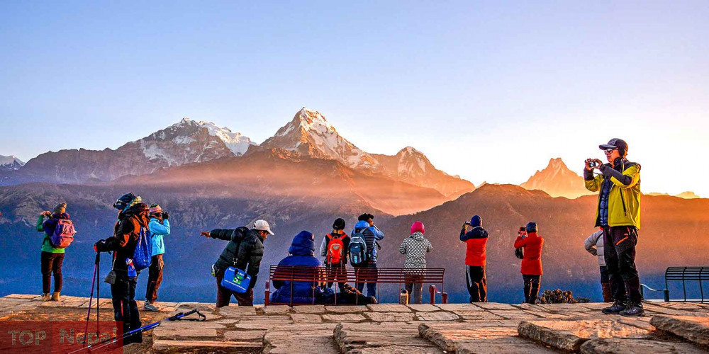 ६४ वर्ष पछि फेला पर्यो अनौठो चरा, आधा मानिस, आधा पंक्षी !