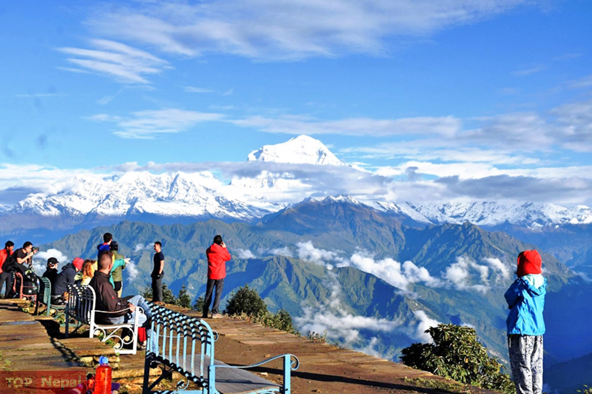 ६४ वर्ष पछि फेला पर्यो अनौठो चरा, आधा मानिस, आधा पंक्षी !