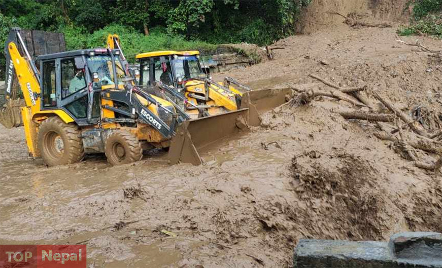 ६४ वर्ष पछि फेला पर्यो अनौठो चरा, आधा मानिस, आधा पंक्षी !