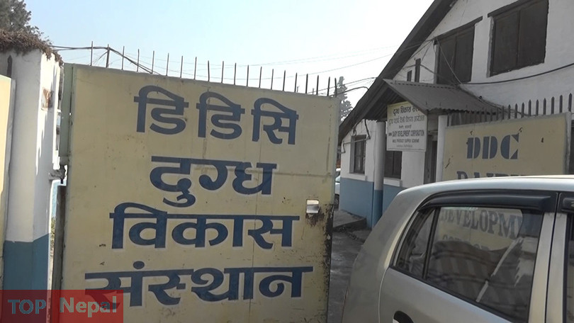 ६४ वर्ष पछि फेला पर्यो अनौठो चरा, आधा मानिस, आधा पंक्षी !
