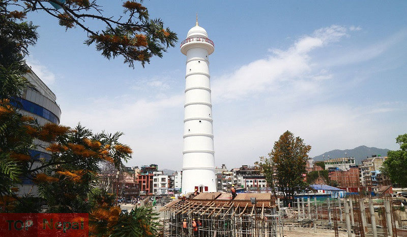 ६४ वर्ष पछि फेला पर्यो अनौठो चरा, आधा मानिस, आधा पंक्षी !