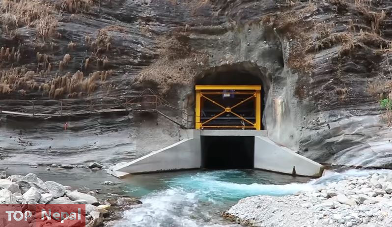 ६४ वर्ष पछि फेला पर्यो अनौठो चरा, आधा मानिस, आधा पंक्षी !