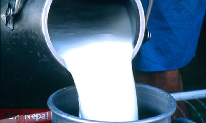 ६४ वर्ष पछि फेला पर्यो अनौठो चरा, आधा मानिस, आधा पंक्षी !