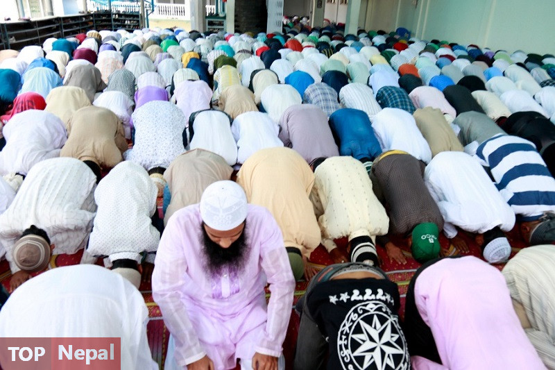 ६४ वर्ष पछि फेला पर्यो अनौठो चरा, आधा मानिस, आधा पंक्षी !
