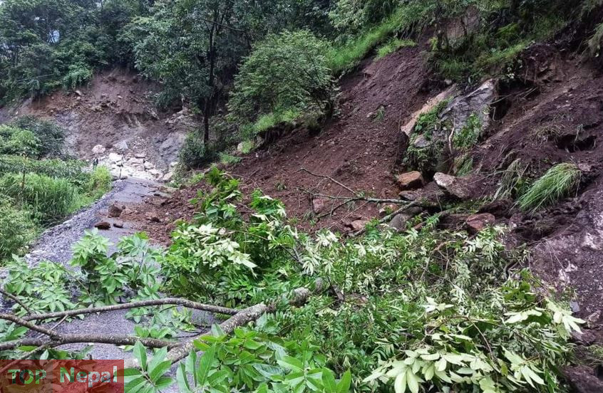 ६४ वर्ष पछि फेला पर्यो अनौठो चरा, आधा मानिस, आधा पंक्षी !