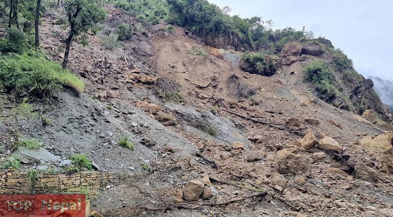 ६४ वर्ष पछि फेला पर्यो अनौठो चरा, आधा मानिस, आधा पंक्षी !