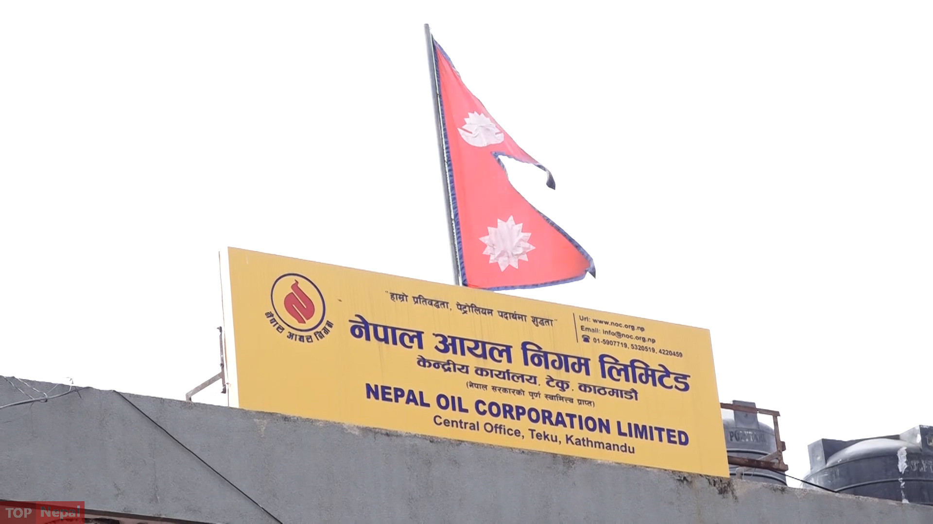 ६४ वर्ष पछि फेला पर्यो अनौठो चरा, आधा मानिस, आधा पंक्षी !