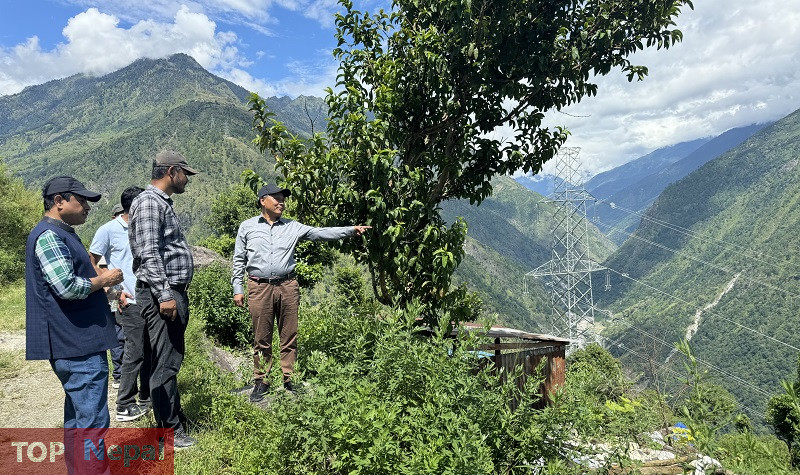 ६४ वर्ष पछि फेला पर्यो अनौठो चरा, आधा मानिस, आधा पंक्षी !