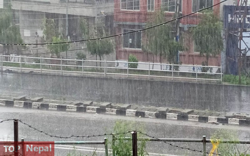 ६४ वर्ष पछि फेला पर्यो अनौठो चरा, आधा मानिस, आधा पंक्षी !