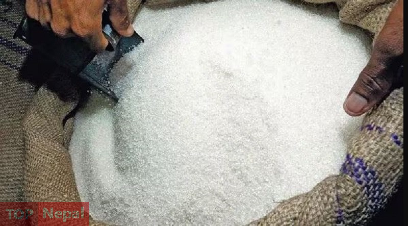 ६४ वर्ष पछि फेला पर्यो अनौठो चरा, आधा मानिस, आधा पंक्षी !