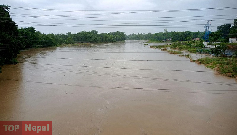 ६४ वर्ष पछि फेला पर्यो अनौठो चरा, आधा मानिस, आधा पंक्षी !