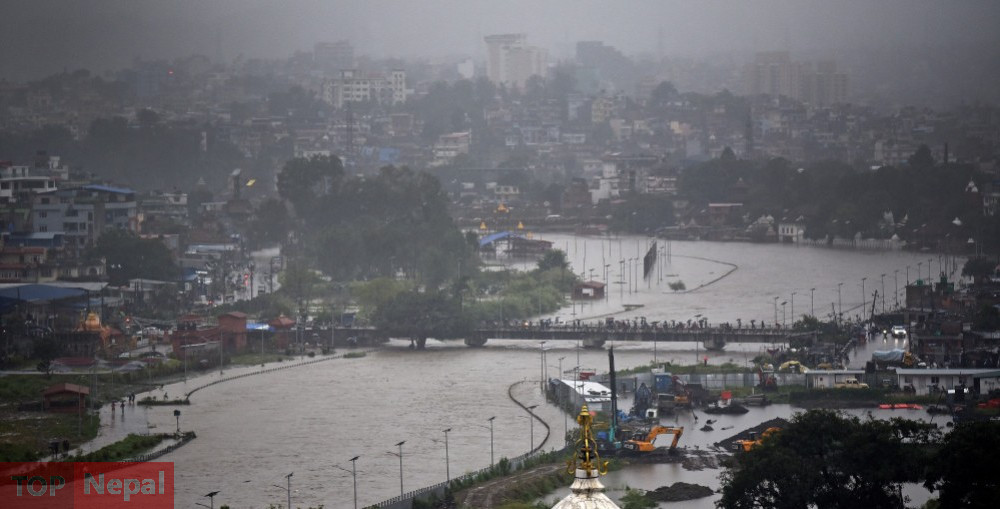 ६४ वर्ष पछि फेला पर्यो अनौठो चरा, आधा मानिस, आधा पंक्षी !