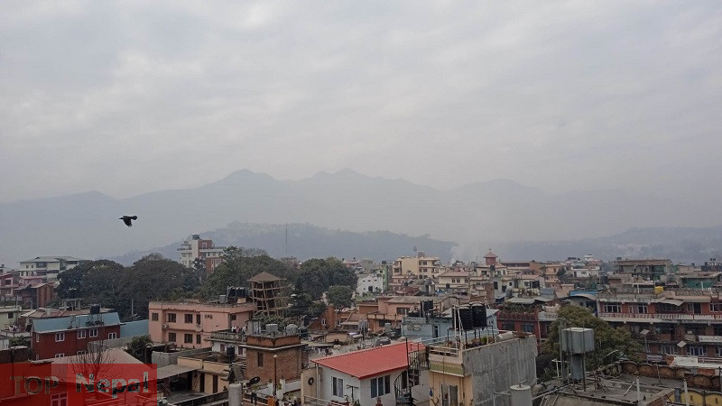 ६४ वर्ष पछि फेला पर्यो अनौठो चरा, आधा मानिस, आधा पंक्षी !