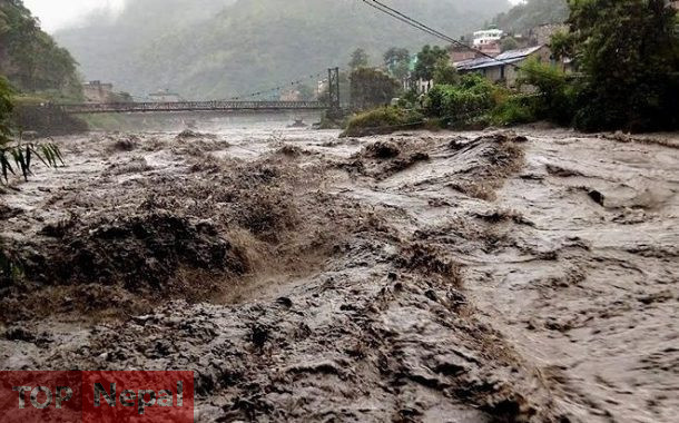 ६४ वर्ष पछि फेला पर्यो अनौठो चरा, आधा मानिस, आधा पंक्षी !