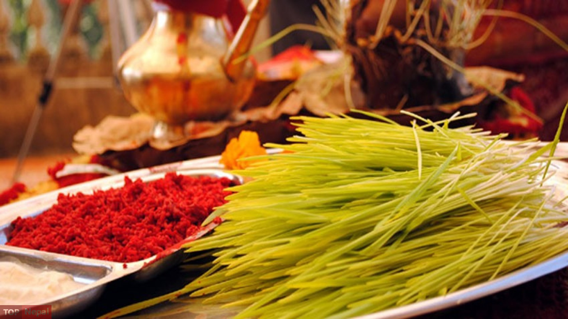 ६४ वर्ष पछि फेला पर्यो अनौठो चरा, आधा मानिस, आधा पंक्षी !