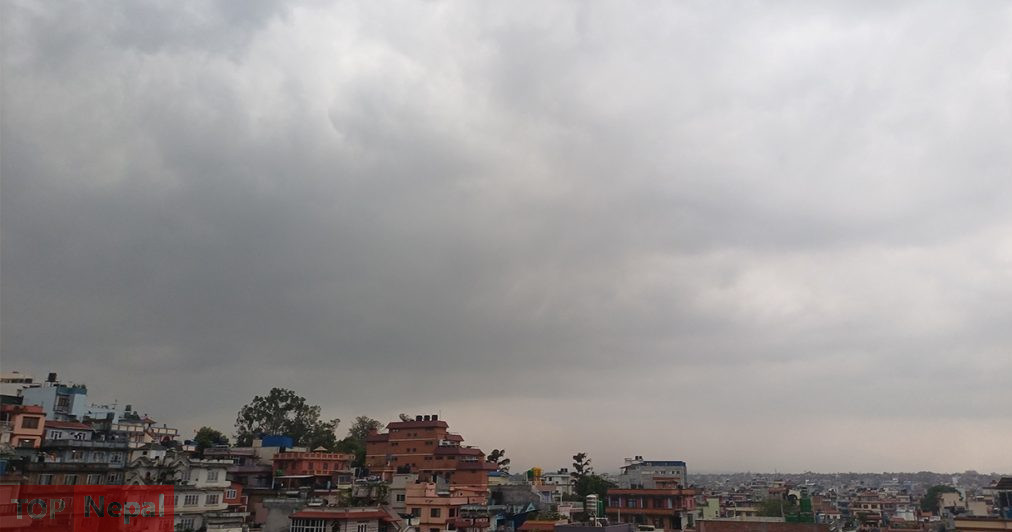 ६४ वर्ष पछि फेला पर्यो अनौठो चरा, आधा मानिस, आधा पंक्षी !