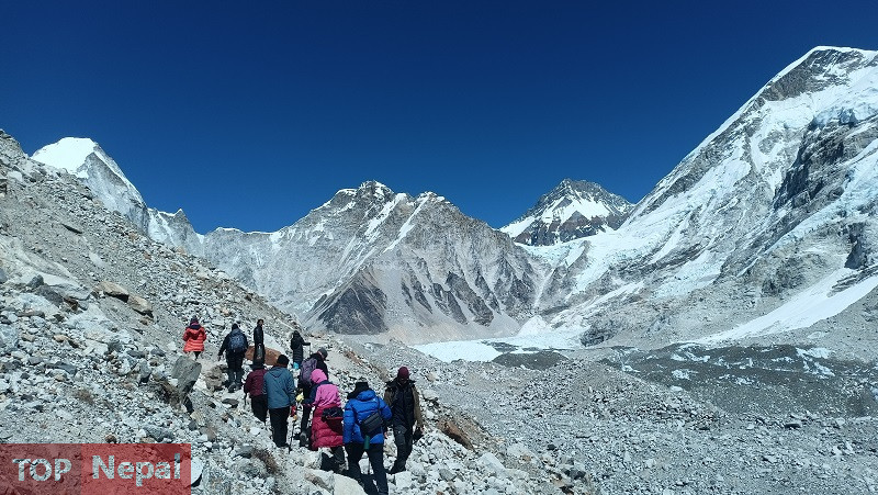 ६४ वर्ष पछि फेला पर्यो अनौठो चरा, आधा मानिस, आधा पंक्षी !