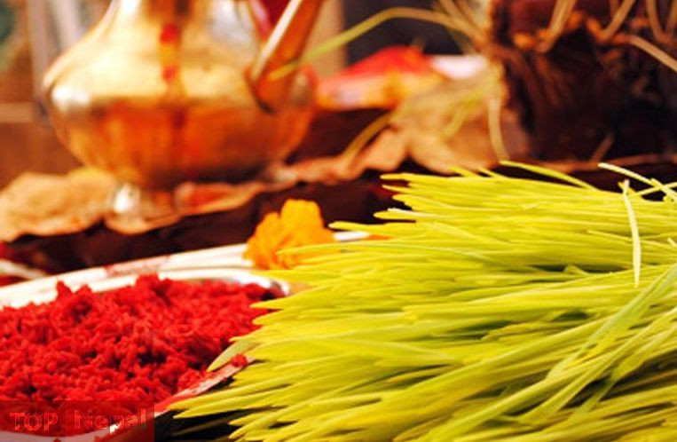 ६४ वर्ष पछि फेला पर्यो अनौठो चरा, आधा मानिस, आधा पंक्षी !