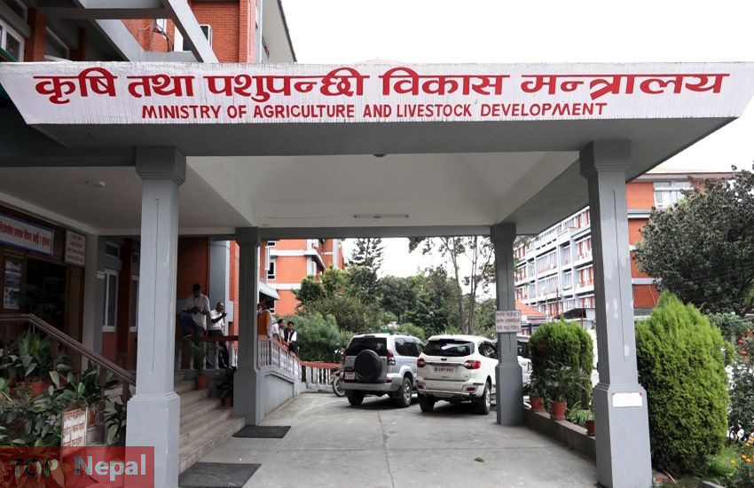 ६४ वर्ष पछि फेला पर्यो अनौठो चरा, आधा मानिस, आधा पंक्षी !