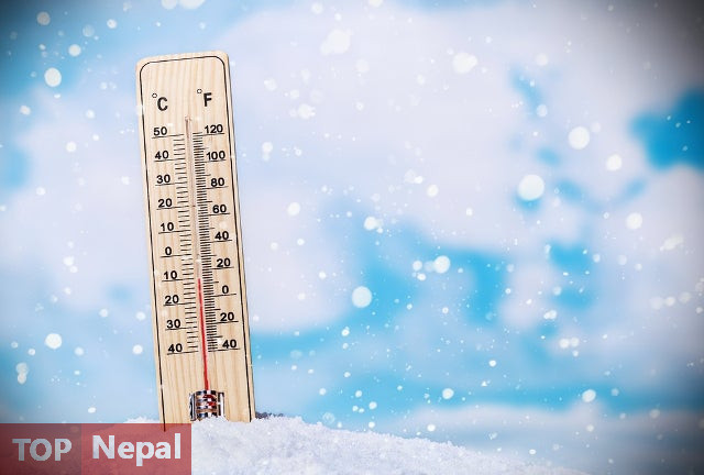 ६४ वर्ष पछि फेला पर्यो अनौठो चरा, आधा मानिस, आधा पंक्षी !