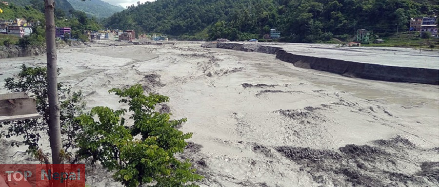 ६४ वर्ष पछि फेला पर्यो अनौठो चरा, आधा मानिस, आधा पंक्षी !