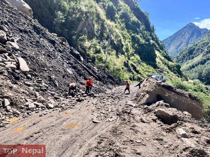 ६४ वर्ष पछि फेला पर्यो अनौठो चरा, आधा मानिस, आधा पंक्षी !