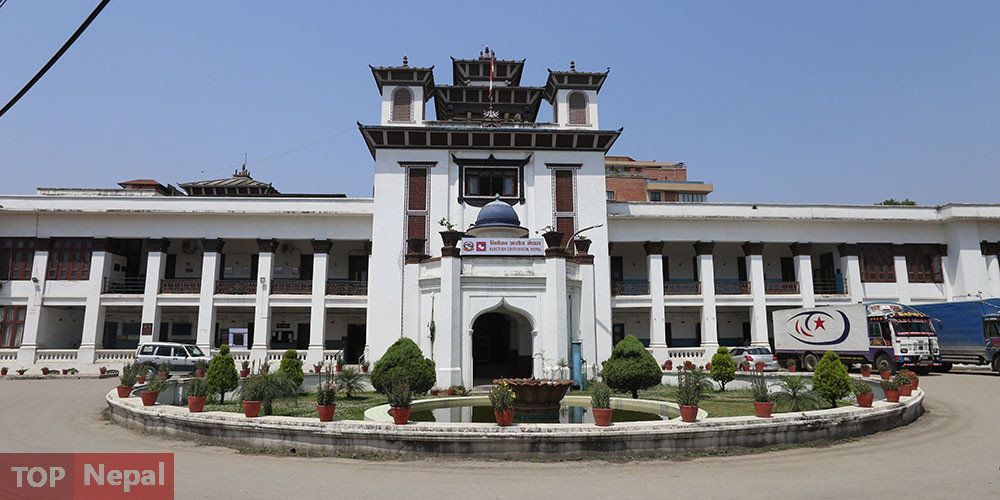 ६४ वर्ष पछि फेला पर्यो अनौठो चरा, आधा मानिस, आधा पंक्षी !