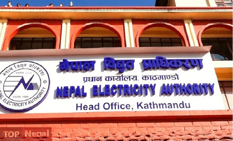 ६४ वर्ष पछि फेला पर्यो अनौठो चरा, आधा मानिस, आधा पंक्षी !