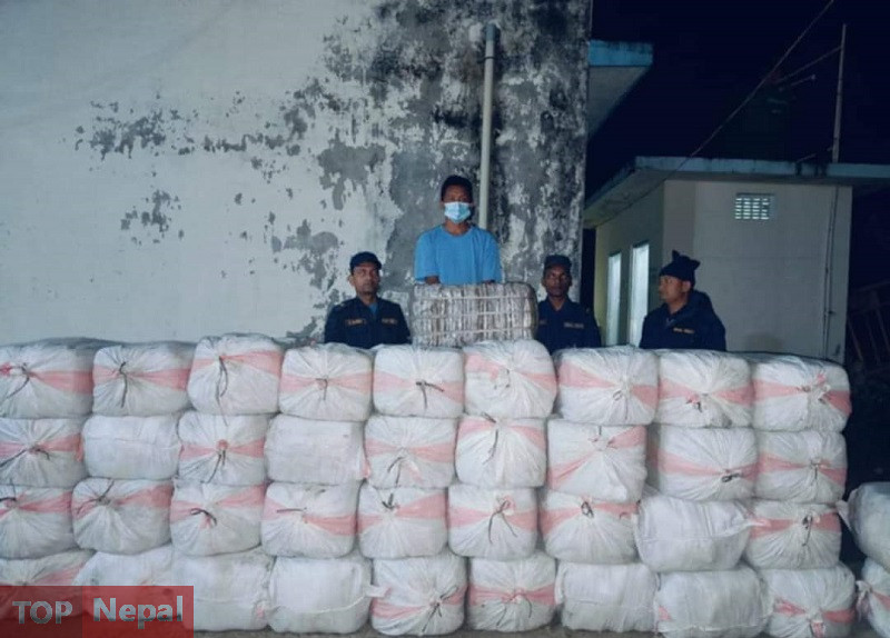 ६४ वर्ष पछि फेला पर्यो अनौठो चरा, आधा मानिस, आधा पंक्षी !