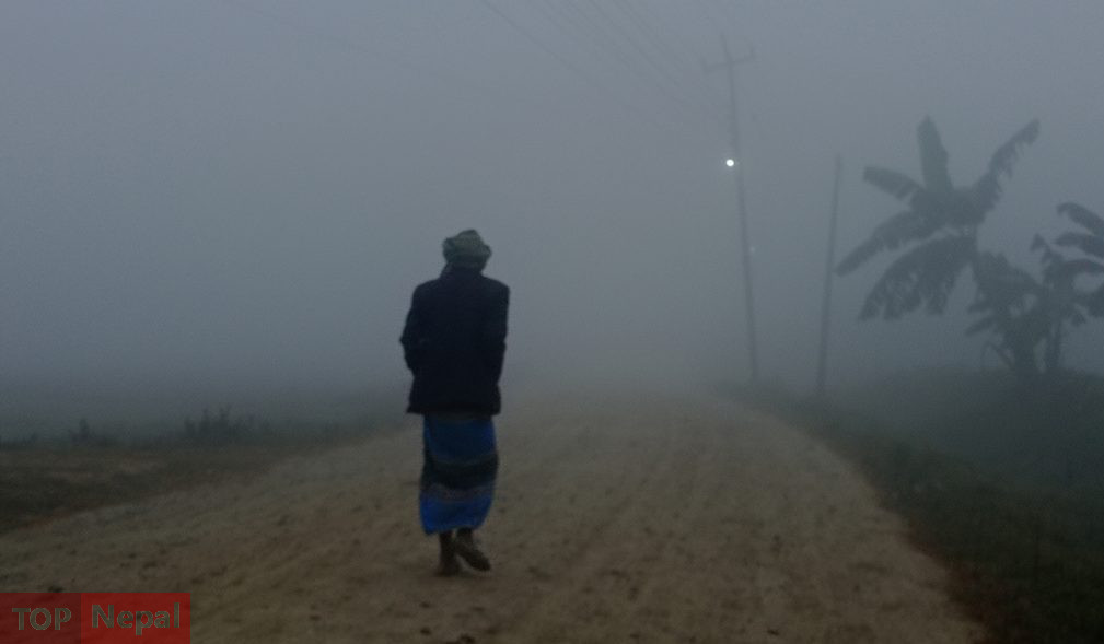६४ वर्ष पछि फेला पर्यो अनौठो चरा, आधा मानिस, आधा पंक्षी !