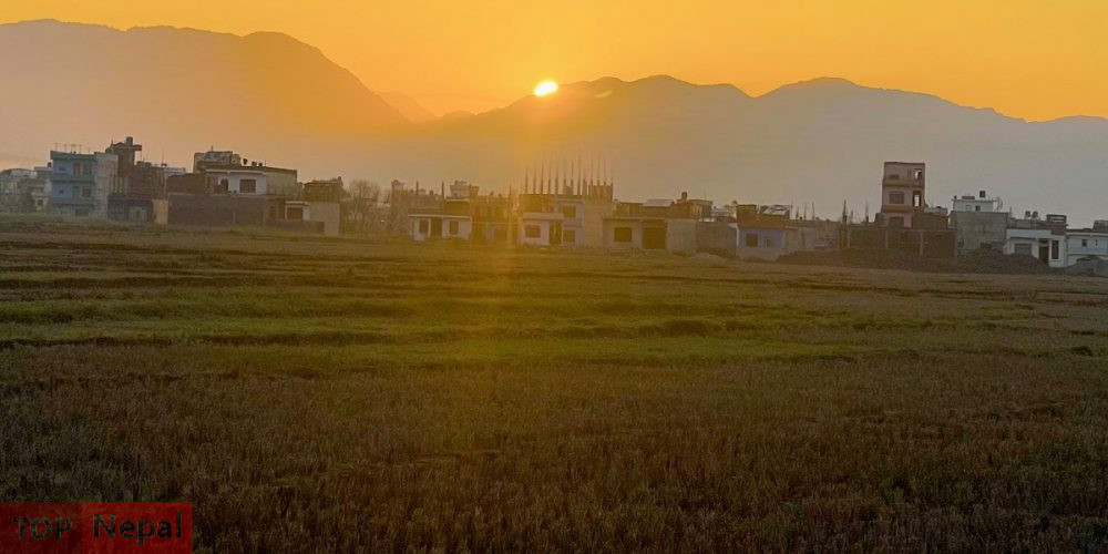 ६४ वर्ष पछि फेला पर्यो अनौठो चरा, आधा मानिस, आधा पंक्षी !