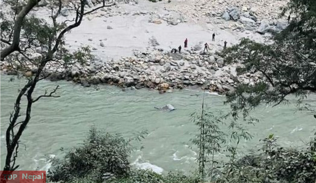 ६४ वर्ष पछि फेला पर्यो अनौठो चरा, आधा मानिस, आधा पंक्षी !