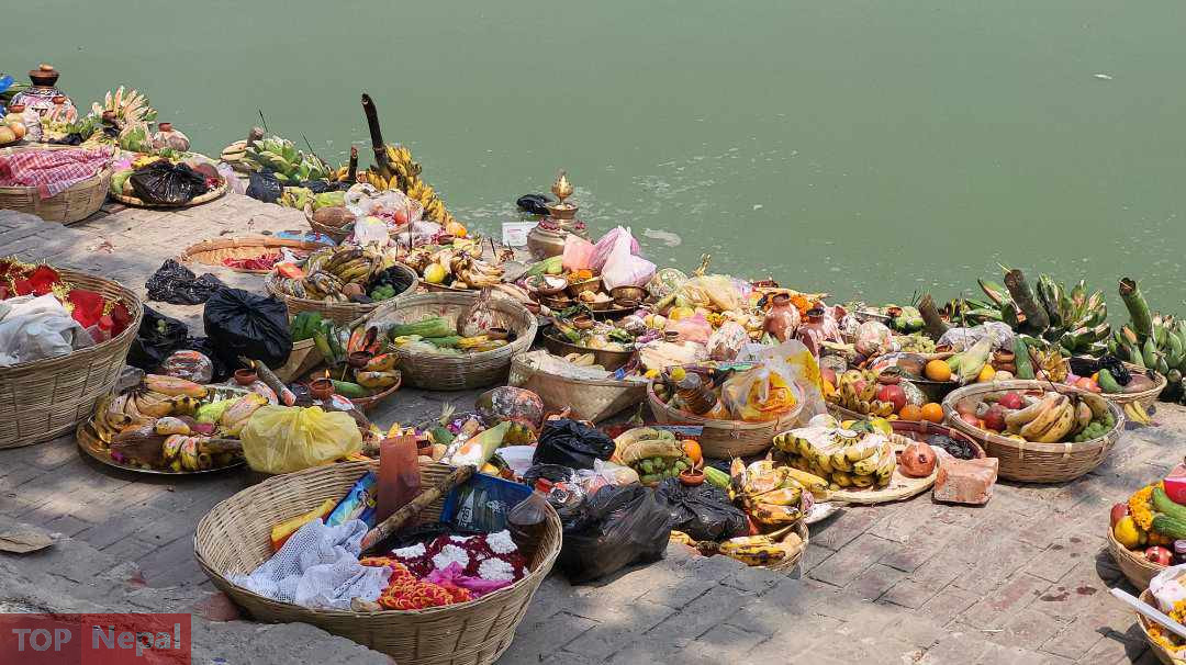 ६४ वर्ष पछि फेला पर्यो अनौठो चरा, आधा मानिस, आधा पंक्षी !