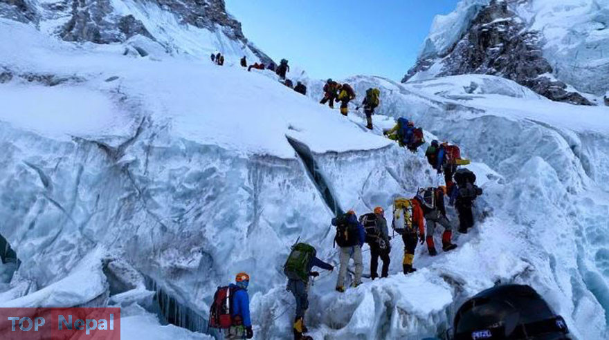 ६४ वर्ष पछि फेला पर्यो अनौठो चरा, आधा मानिस, आधा पंक्षी !