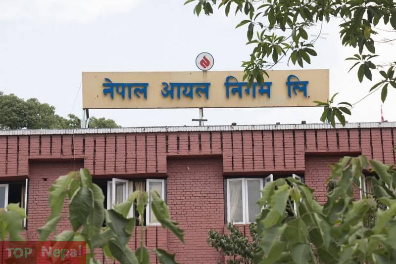 ६४ वर्ष पछि फेला पर्यो अनौठो चरा, आधा मानिस, आधा पंक्षी !