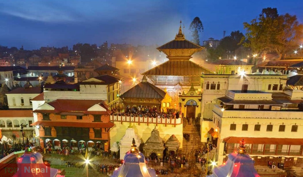 ६४ वर्ष पछि फेला पर्यो अनौठो चरा, आधा मानिस, आधा पंक्षी !