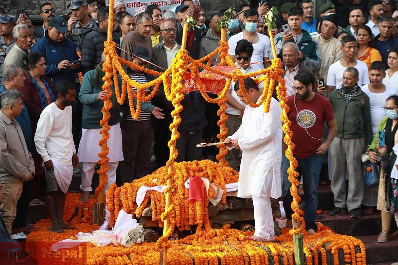 ६४ वर्ष पछि फेला पर्यो अनौठो चरा, आधा मानिस, आधा पंक्षी !