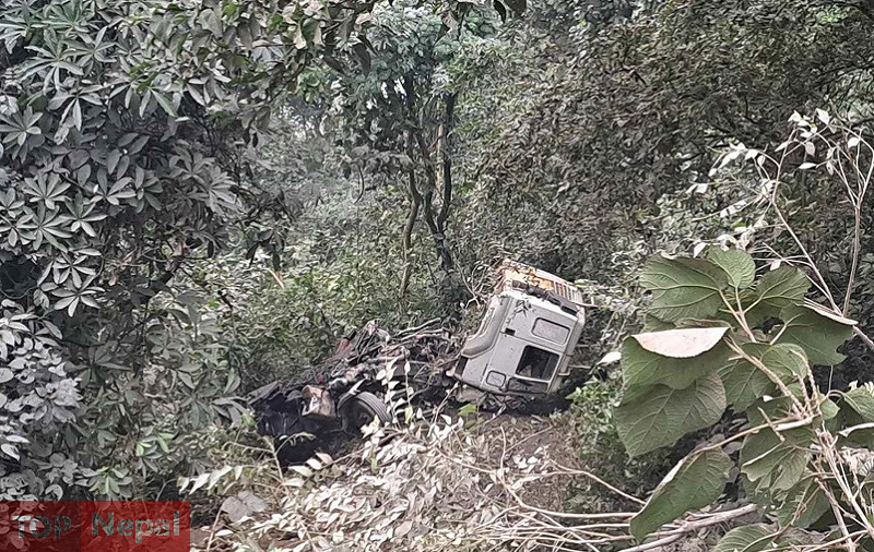६४ वर्ष पछि फेला पर्यो अनौठो चरा, आधा मानिस, आधा पंक्षी !