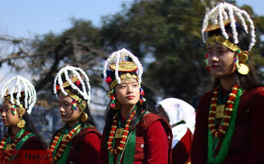 ६४ वर्ष पछि फेला पर्यो अनौठो चरा, आधा मानिस, आधा पंक्षी !