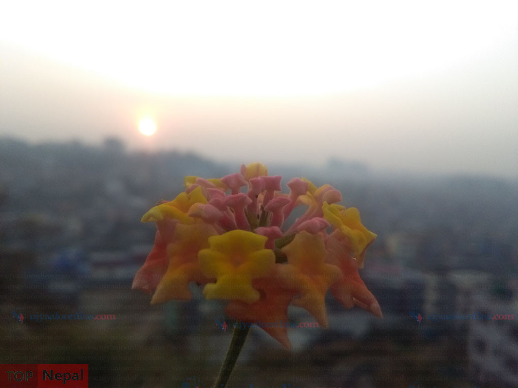 ६४ वर्ष पछि फेला पर्यो अनौठो चरा, आधा मानिस, आधा पंक्षी !