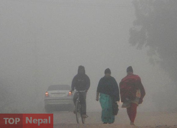 ६४ वर्ष पछि फेला पर्यो अनौठो चरा, आधा मानिस, आधा पंक्षी !