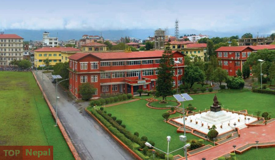 ६४ वर्ष पछि फेला पर्यो अनौठो चरा, आधा मानिस, आधा पंक्षी !