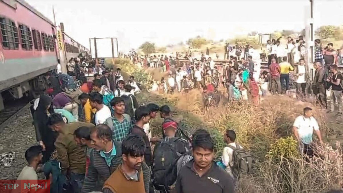 ६४ वर्ष पछि फेला पर्यो अनौठो चरा, आधा मानिस, आधा पंक्षी !
