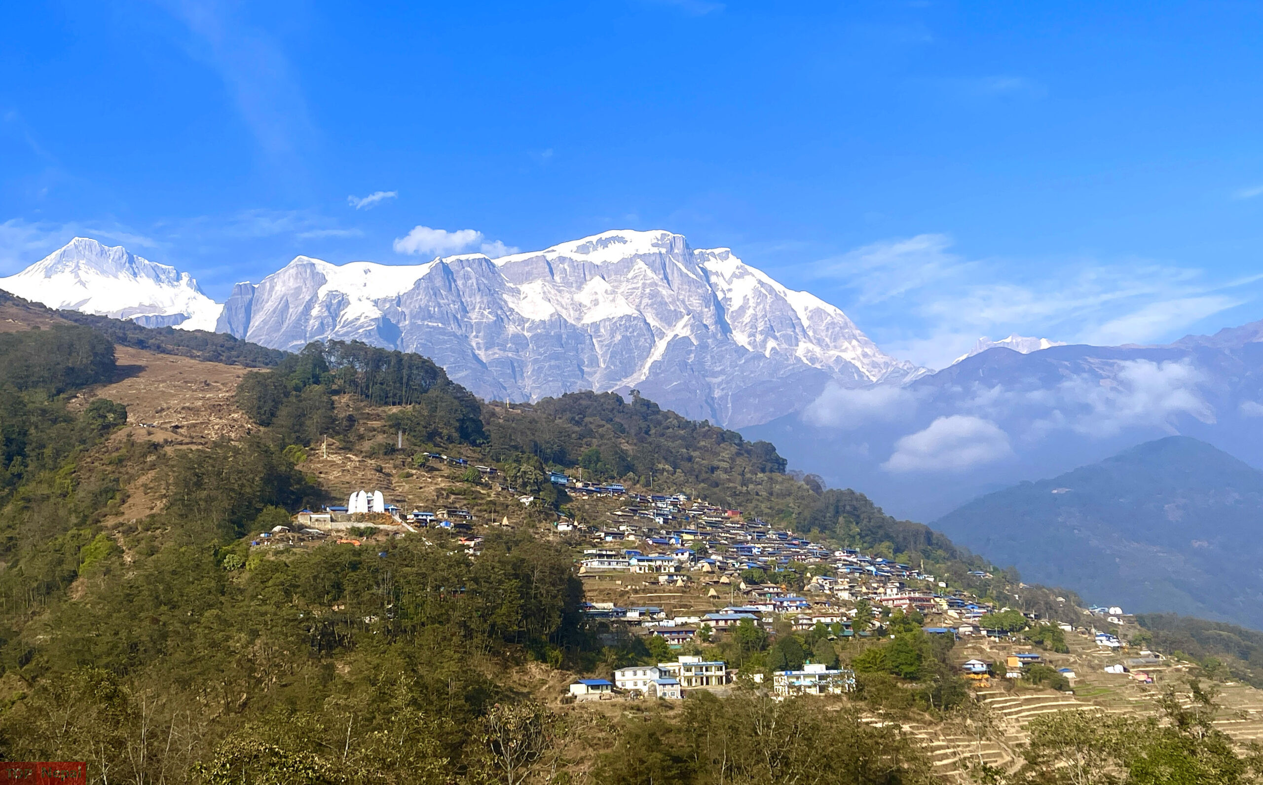 ६४ वर्ष पछि फेला पर्यो अनौठो चरा, आधा मानिस, आधा पंक्षी !